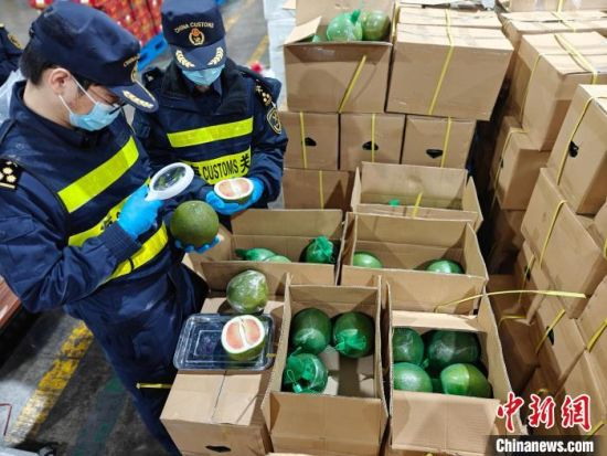 The packaging of the container cargo was obviously different. About 7.8 tons of undeclared fruit were seized by Shanghai Outlet Customs in an attempt to pass through the customs.